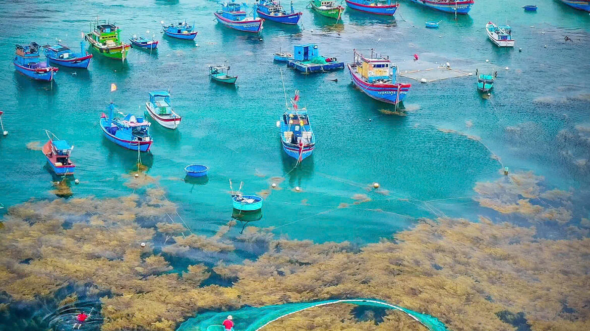 Ảnh: Nguyễn Dũng