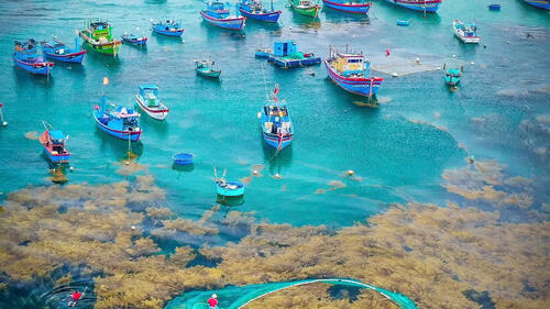 Ảnh: Nguyễn Dũng