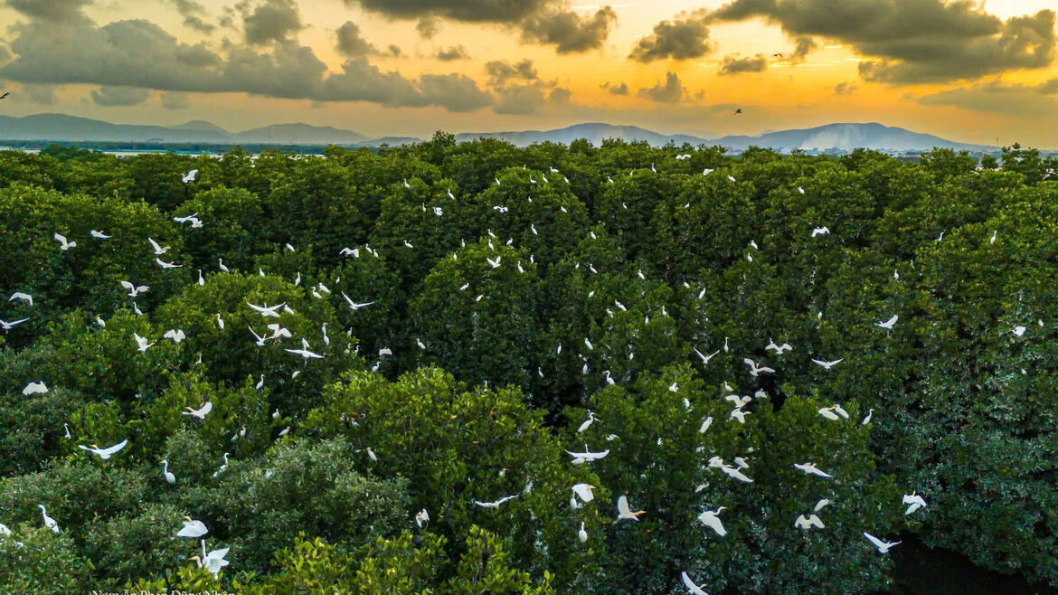 Photo by Nguyễn Phan Dũng Nhân