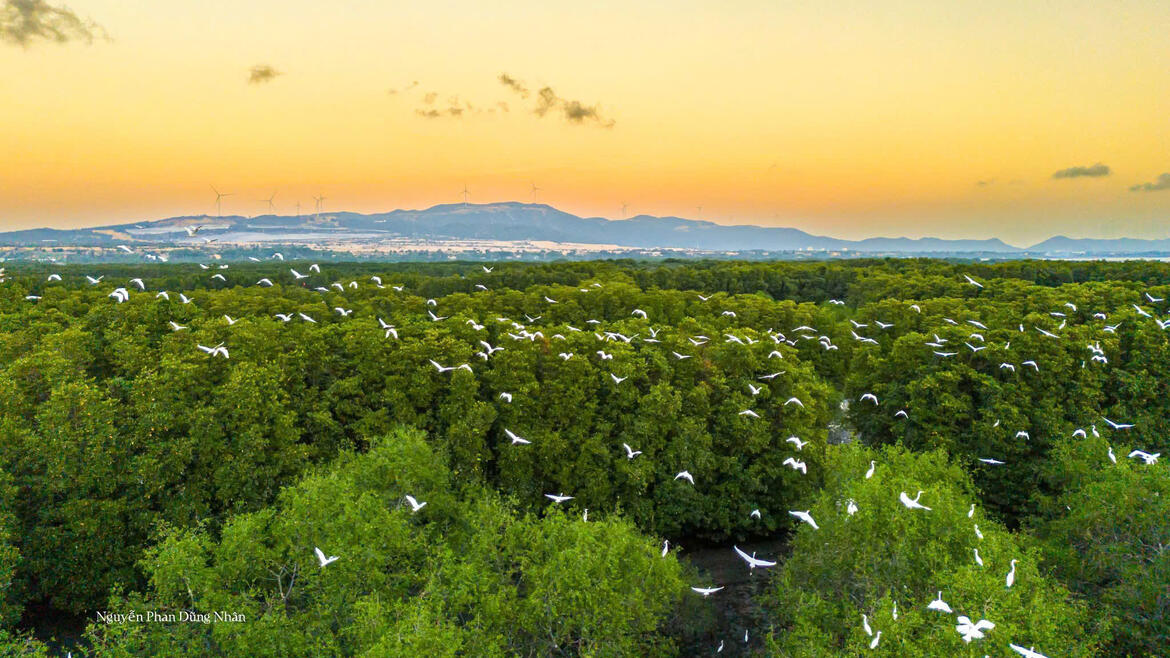 Photo by Nguyễn Phan Dũng Nhân