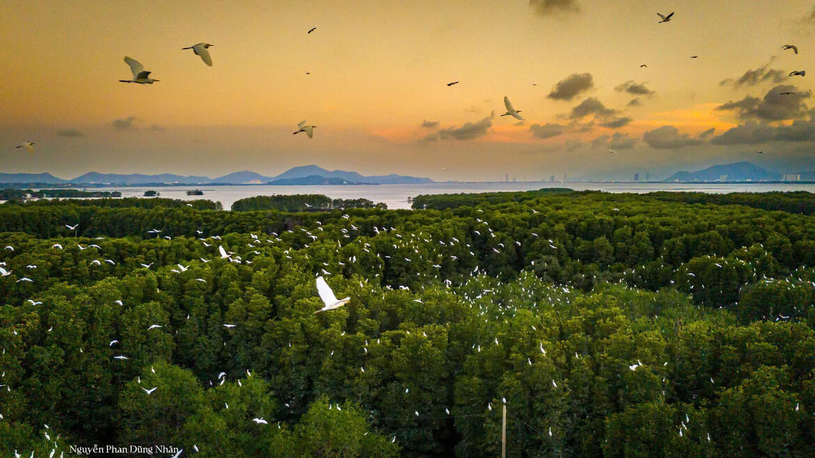 Photo by Nguyễn Phan Dũng Nhân