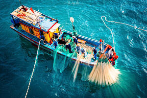 Photo by Nguyễn Phan Dũng Nhân