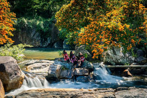 Photo by Nguyễn Phan Dũng Nhân