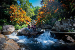 Photo by Nguyễn Phan Dũng Nhân