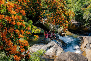 Photo by Nguyễn Phan Dũng Nhân