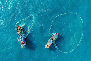 Photo by Nguyễn Phan Dũng Nhân