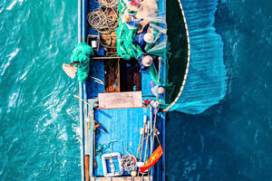 Photo by Nguyễn Phan Dũng Nhân