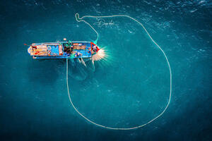 Photo by Nguyễn Phan Dũng Nhân