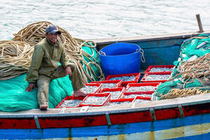 Photo by Nguyễn Phan Dũng Nhân