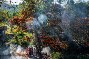 Photo by Nguyễn Phan Dũng Nhân