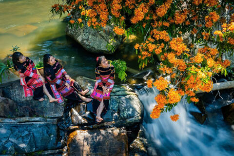 Tà Má Stream, Vĩnh Thạnh District in blooming season