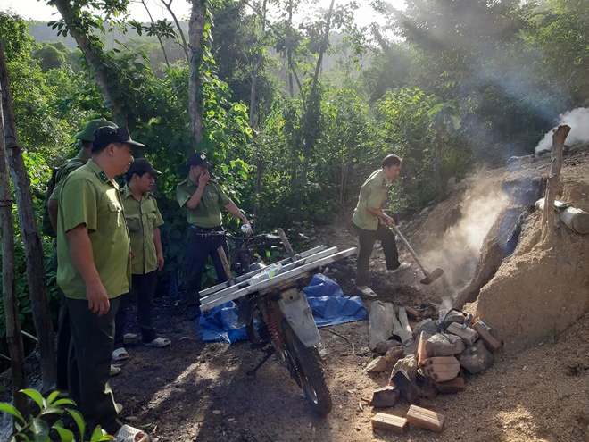 UBND tỉnh Bình Định chỉ đạo công an điều tra vụ phá rừng Thượng Sơn - ảnh 3