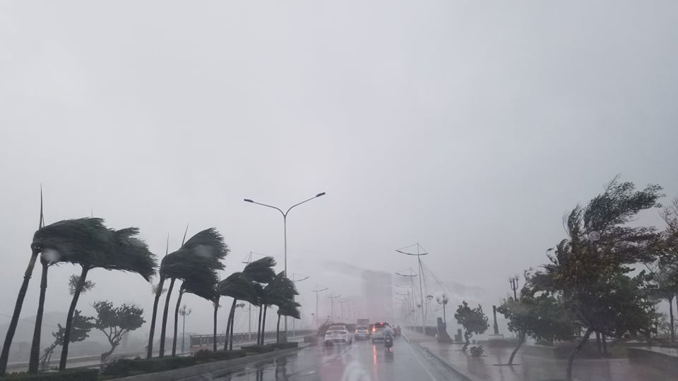 Bão số 12 đổ bộ Bình Định - Ninh Thuận, suy yếu thành áp thấp nhiệt đới - ảnh 4