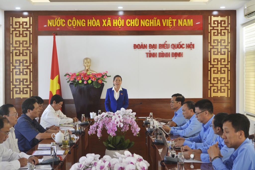 Đoàn đại biểu Quốc hội tỉnh Bình Định làm việc với PC Bình Định - ảnh 1