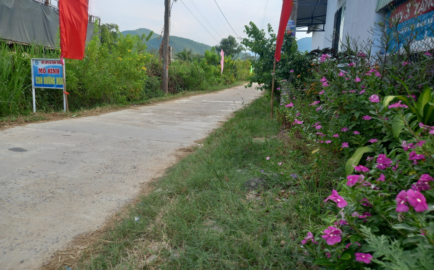 Rực rỡ những tuyến đường hoa nông thôn  Báo Lâm Đồng điện tử